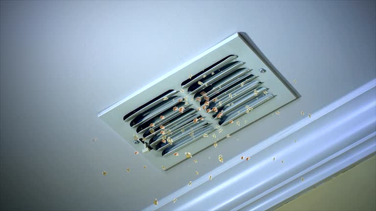 Best Commercial HVAC Duct Cleaning  in Prairie View, TX