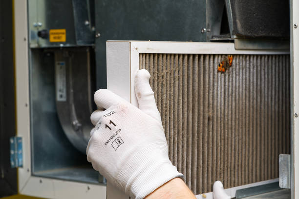 Best Home Air Vent Cleaning  in Prairie View, TX
