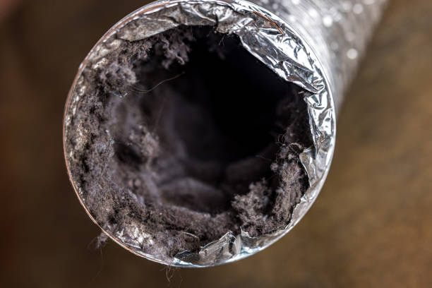 Best Affordable HVAC Duct Cleaning  in Prairie View, TX